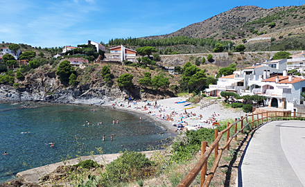 Colera